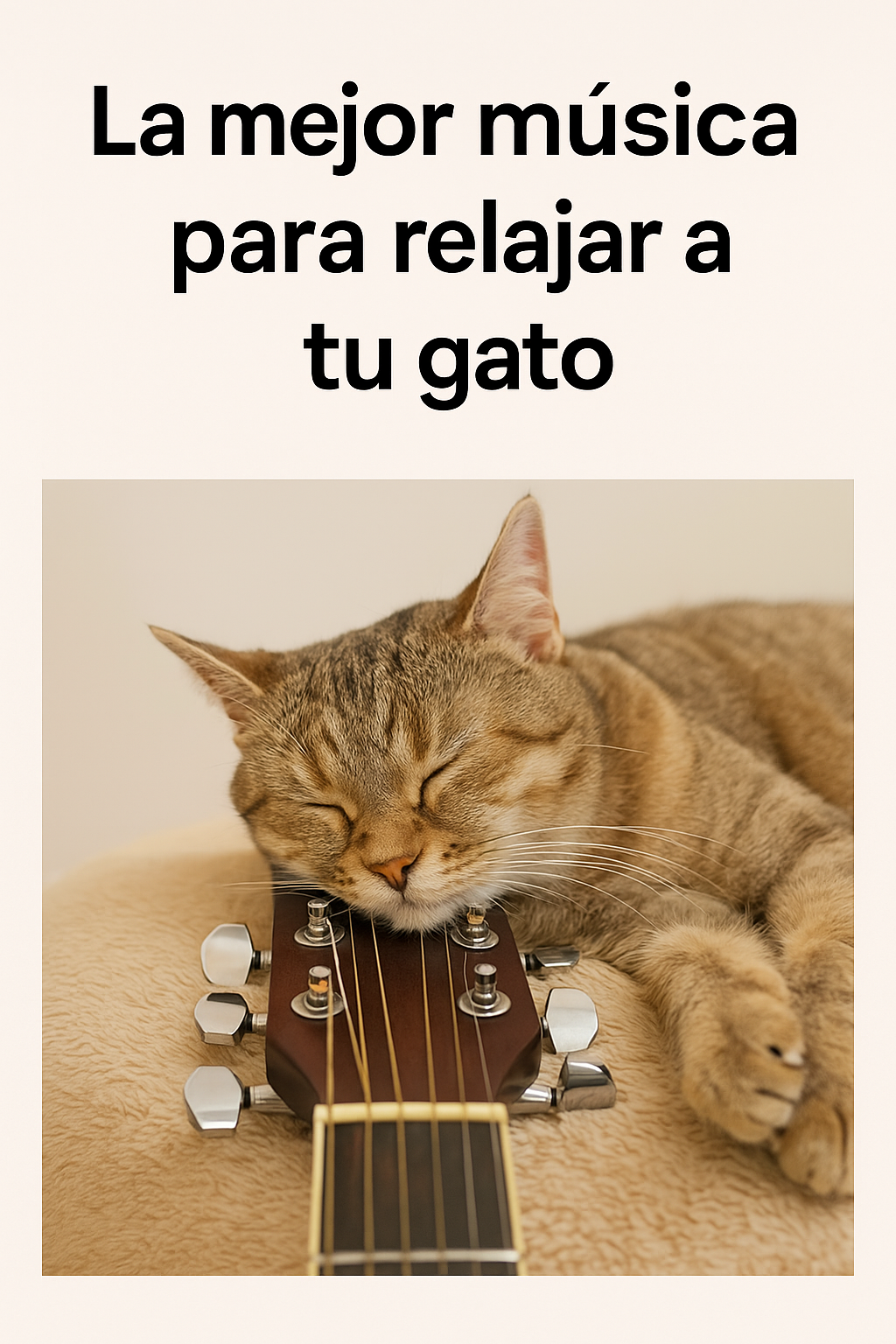 Música para relajar a tu gato